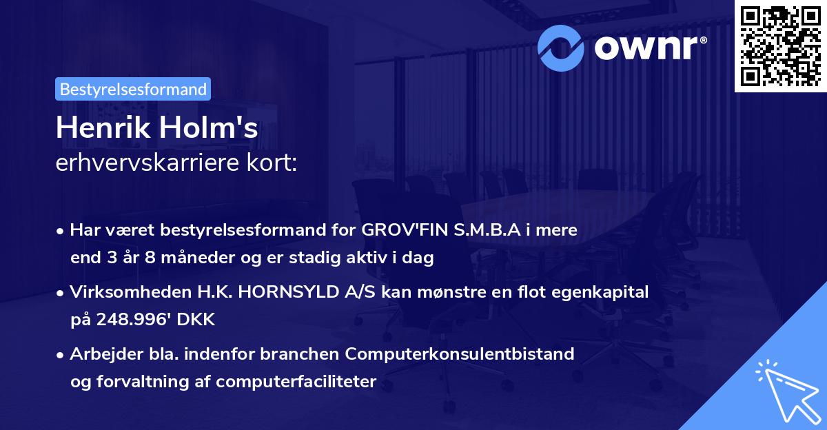 Henrik Holm's erhvervskarriere kort