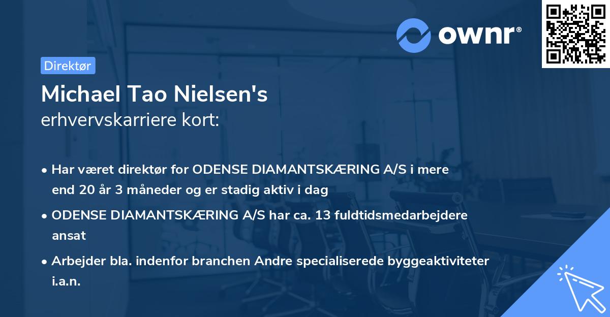 Michael Tao Nielsen's erhvervskarriere kort