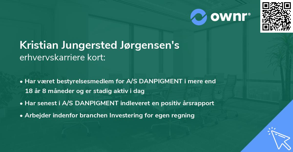 Kristian Jungersted Jørgensen's erhvervskarriere kort