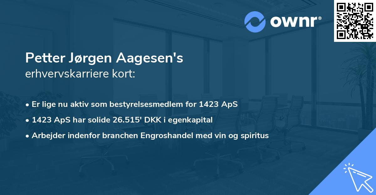 Petter Jørgen Aagesen's erhvervskarriere kort