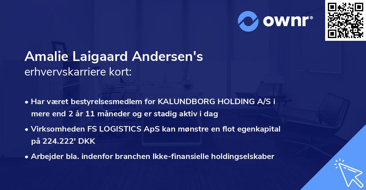 Amalie Laigaard Andersen's erhvervskarriere kort