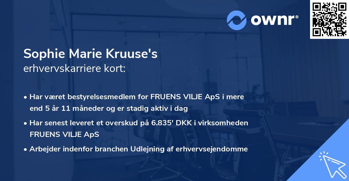 Sophie Marie Kruuse's erhvervskarriere kort