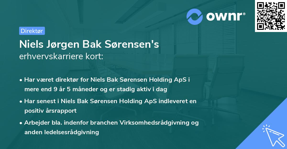 Niels Jørgen Bak Sørensen's erhvervskarriere kort