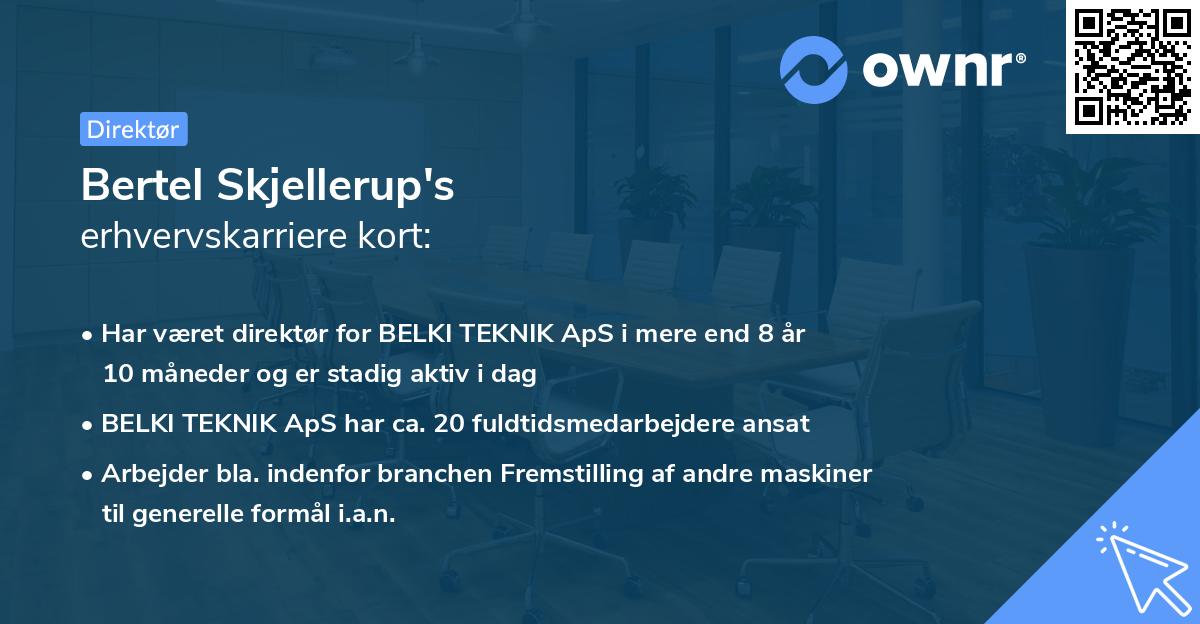Bertel Skjellerup's erhvervskarriere kort