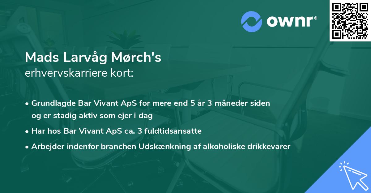 Mads Larvåg Mørch's erhvervskarriere kort