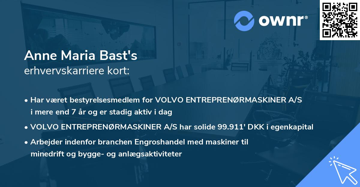 Anne Maria Bast's erhvervskarriere kort