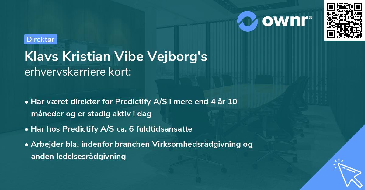 Klavs Kristian Vibe Vejborg's erhvervskarriere kort