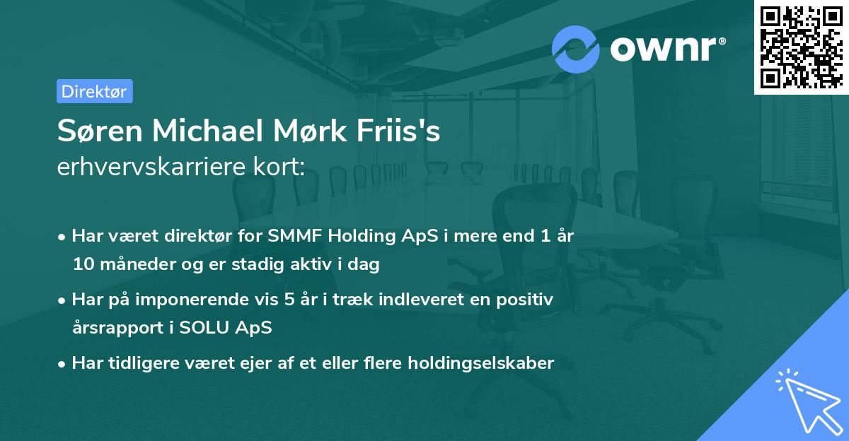 Søren Michael Mørk Friis's erhvervskarriere kort