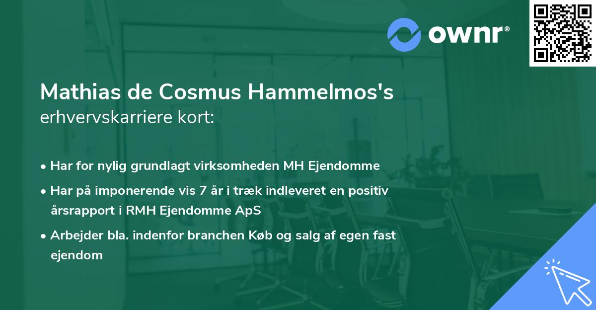 Mathias de Cosmus Hammelmos's erhvervskarriere kort