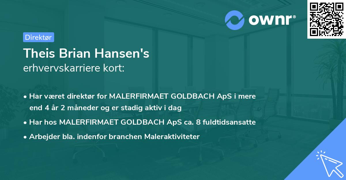 Theis Brian Hansen's erhvervskarriere kort