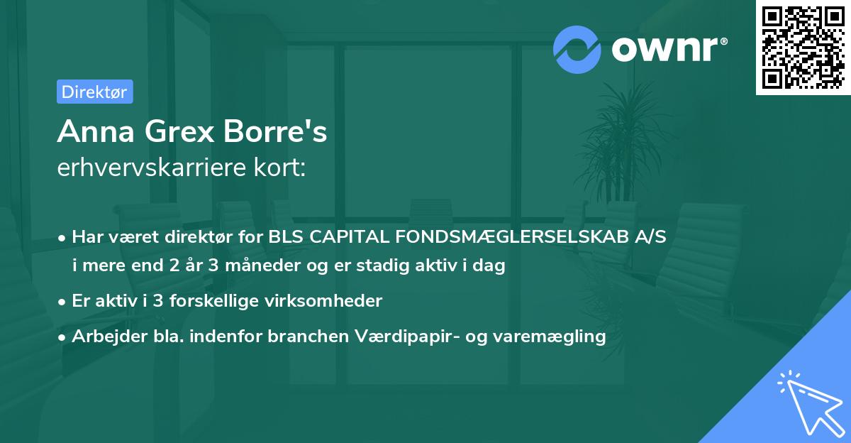Anna Grex Borre's erhvervskarriere kort