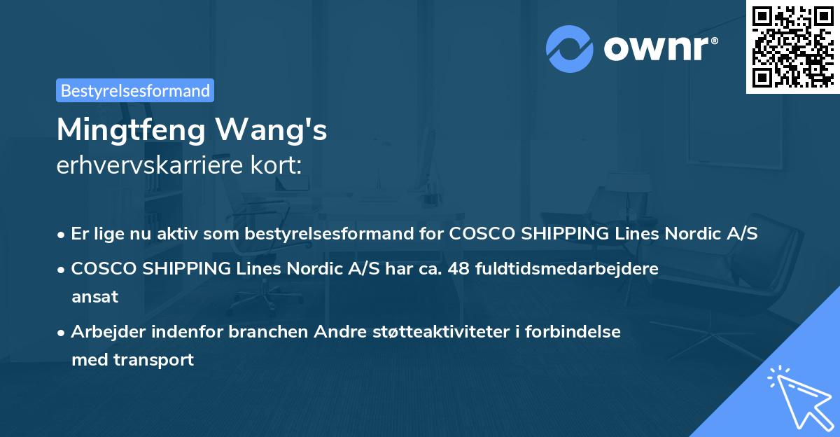 Mingtfeng Wang's erhvervskarriere kort