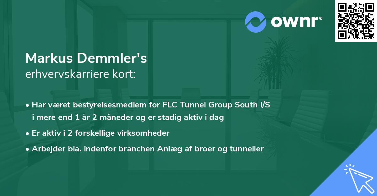 Markus Demmler's erhvervskarriere kort