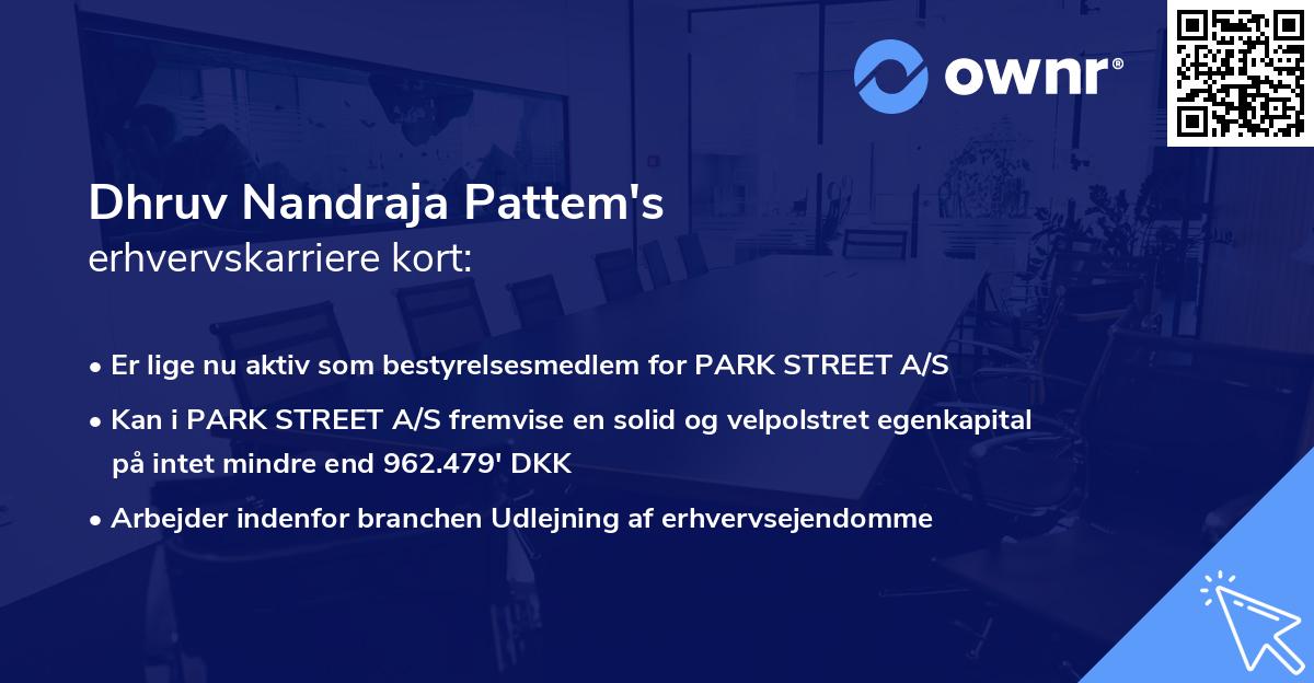 Dhruv Nandraja Pattem's erhvervskarriere kort
