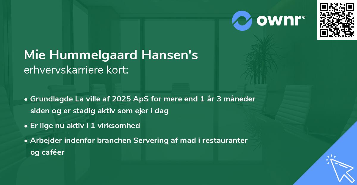Mie Hummelgaard Hansen's erhvervskarriere kort