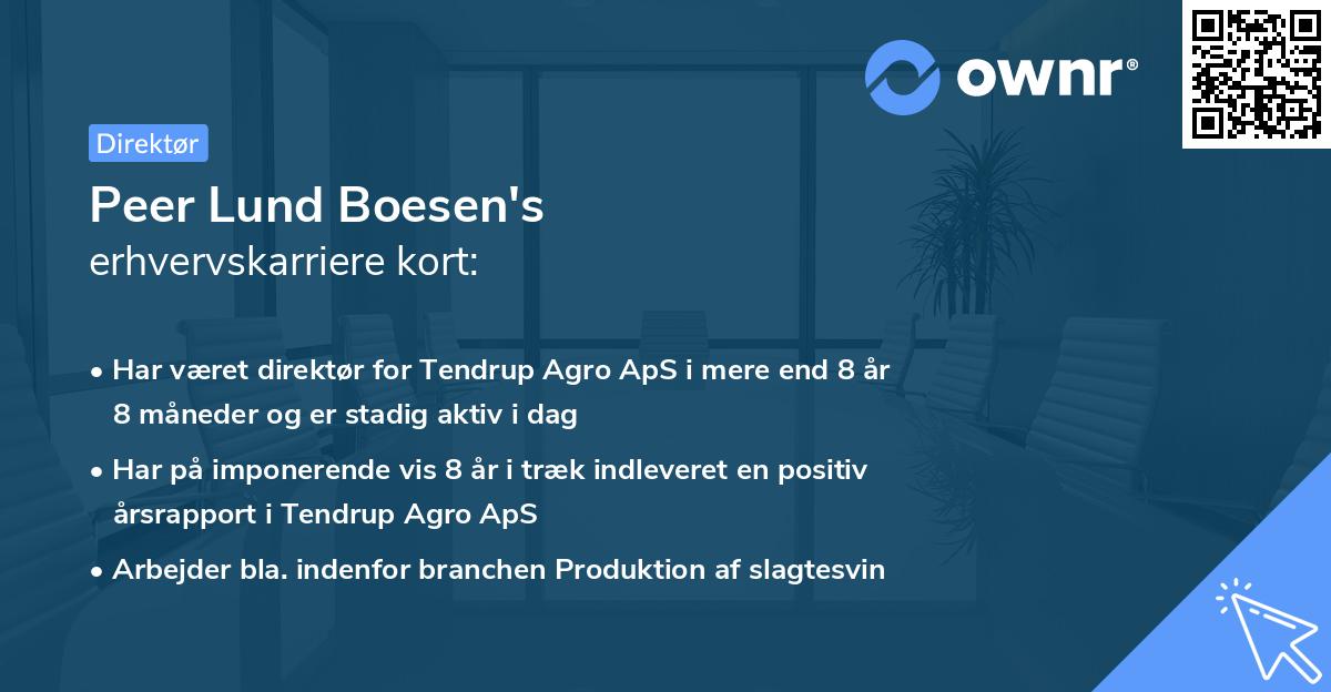 Peer Lund Boesen's erhvervskarriere kort