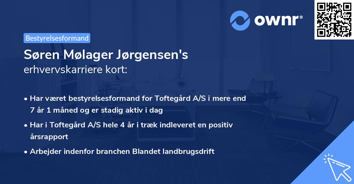 Søren Mølager Jørgensen's erhvervskarriere kort