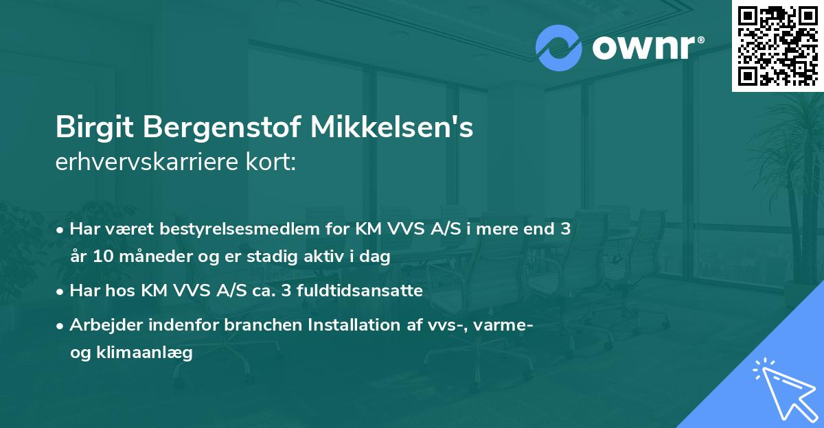 Birgit Bergenstof Mikkelsen's erhvervskarriere kort