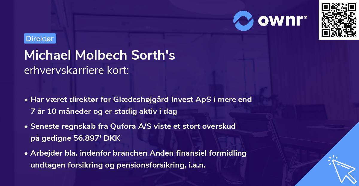 Michael Molbech Sorth's erhvervskarriere kort