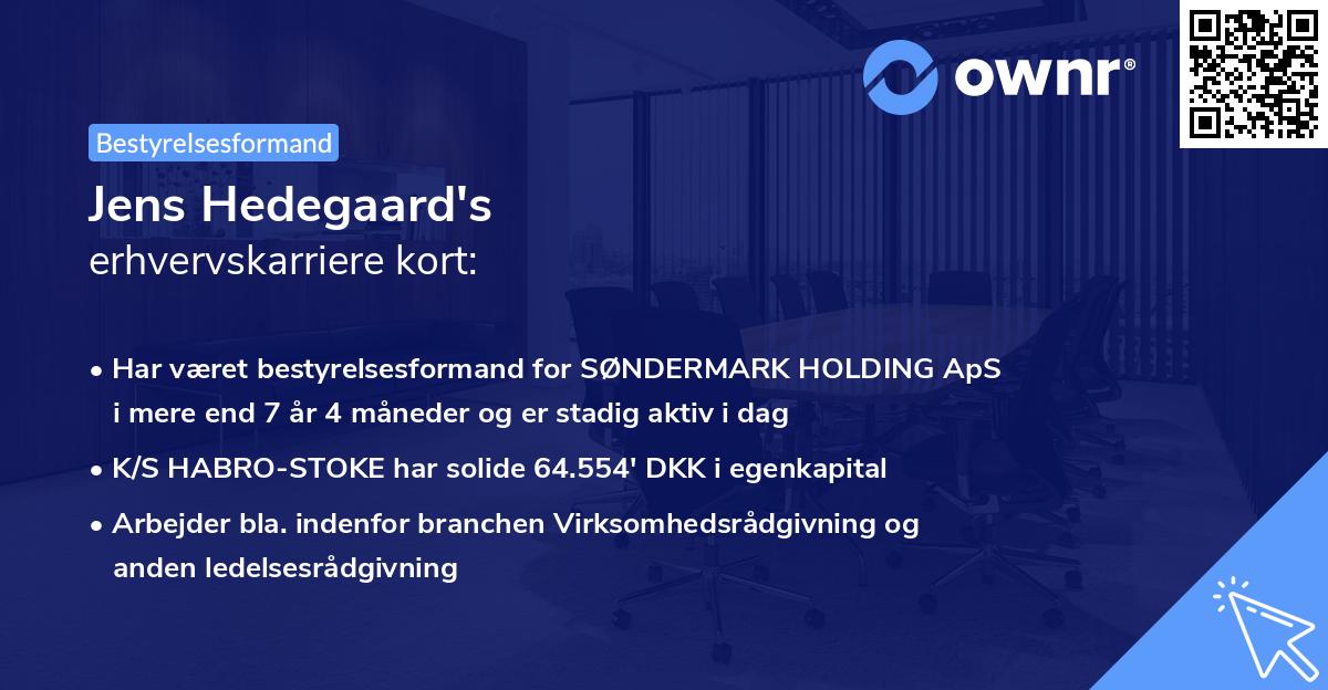 Jens Hedegaard's erhvervskarriere kort