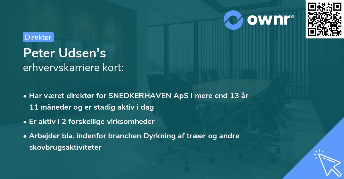 Peter Udsen's erhvervskarriere kort