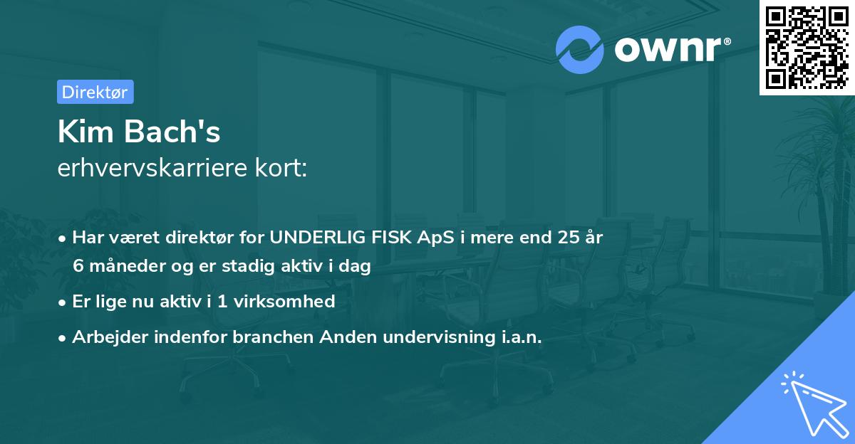 Kim Bach's erhvervskarriere kort