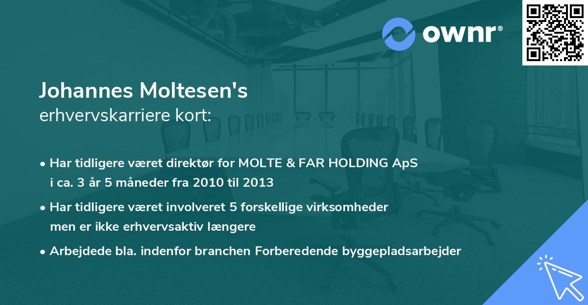 Johannes Moltesen's erhvervskarriere kort