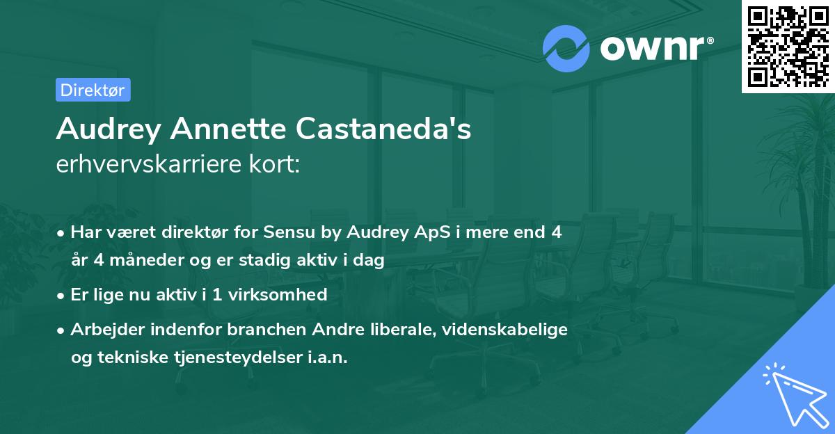 Audrey Annette Castaneda's erhvervskarriere kort