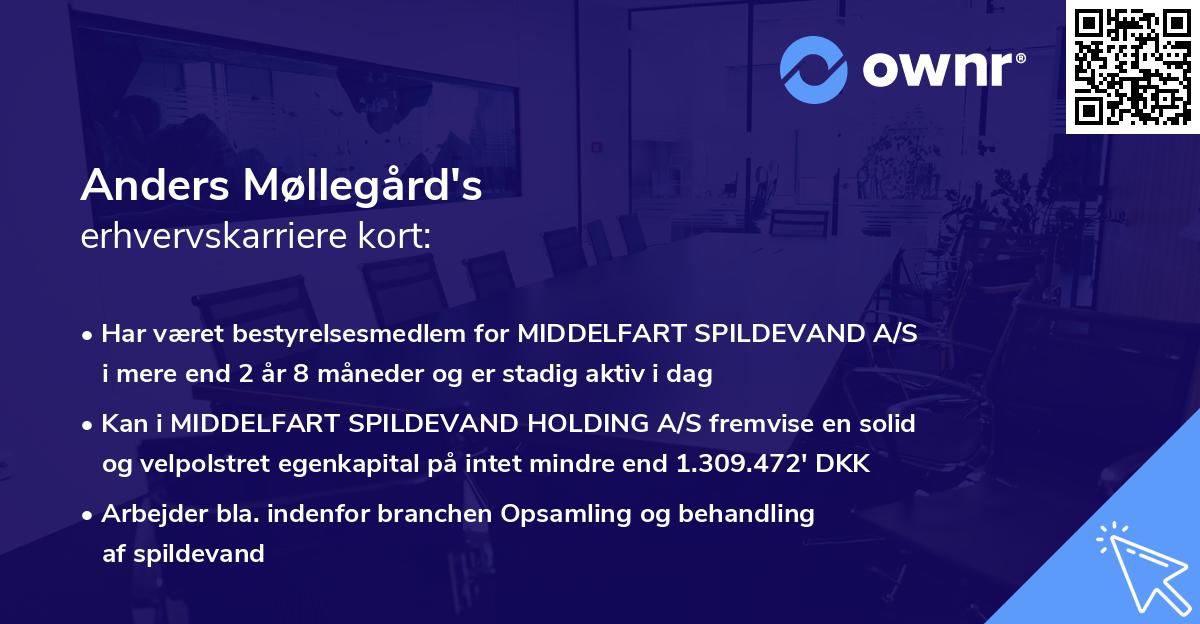 Anders Møllegård's erhvervskarriere kort