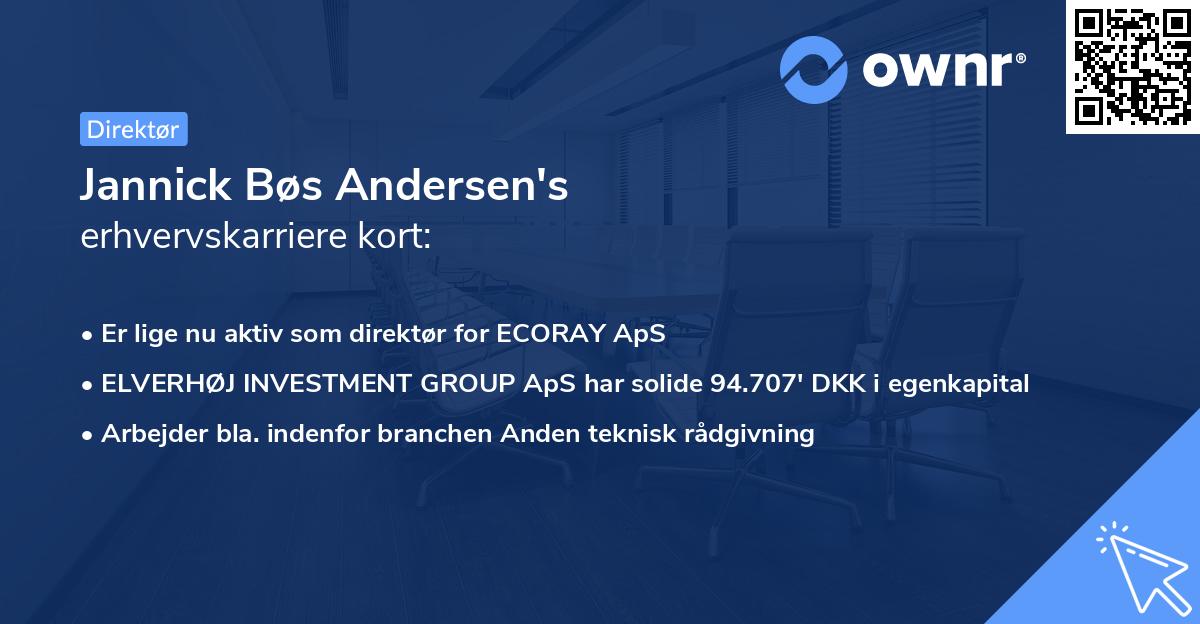 Jannick Bøs Andersen's erhvervskarriere kort