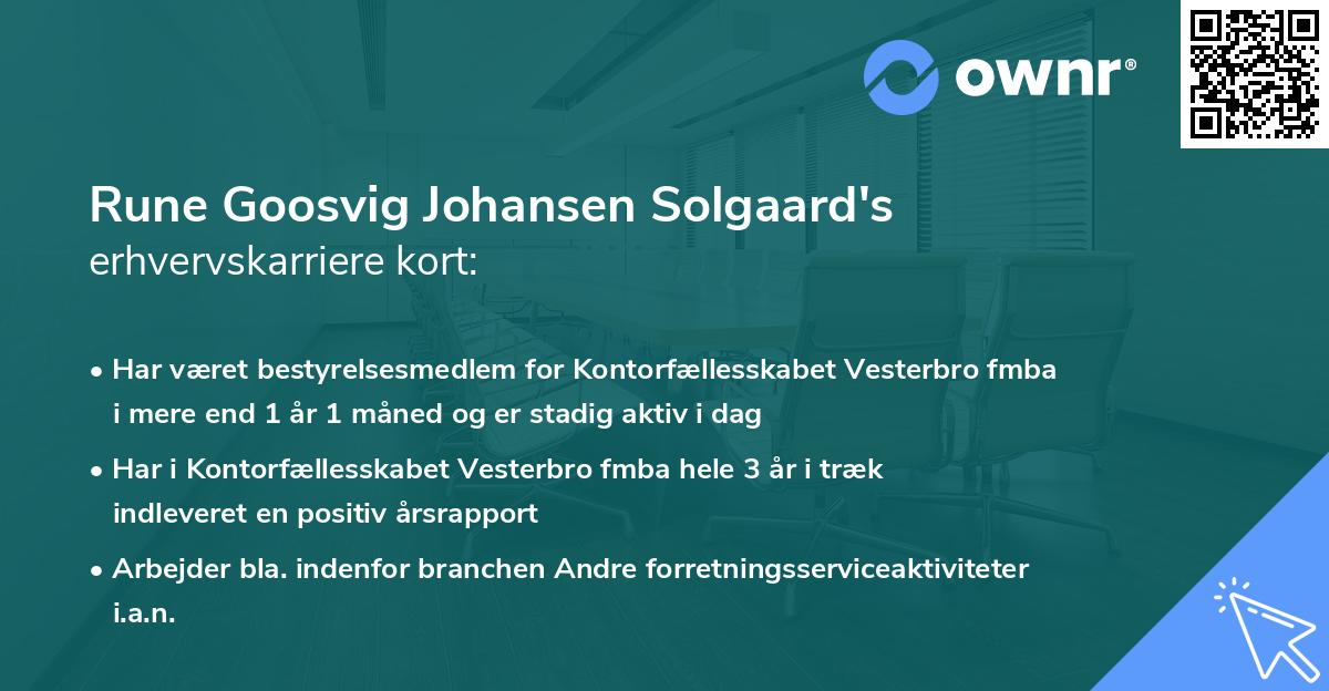 Rune Goosvig Johansen Solgaard's erhvervskarriere kort