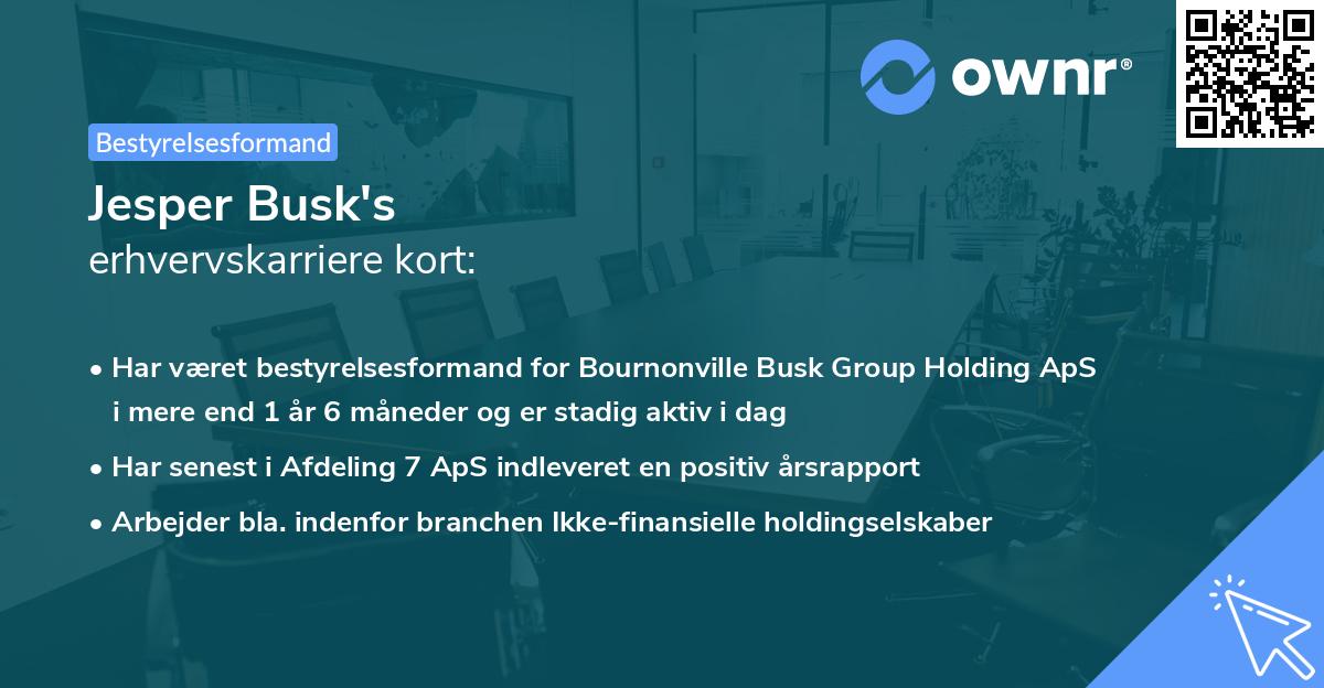 Jesper Busk's erhvervskarriere kort
