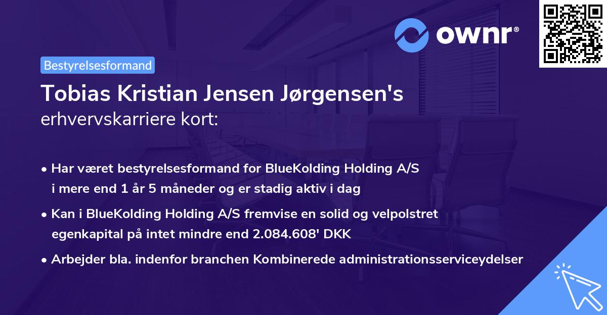 Tobias Kristian Jensen Jørgensen's erhvervskarriere kort