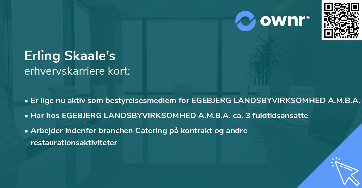 Erling Skaale's erhvervskarriere kort