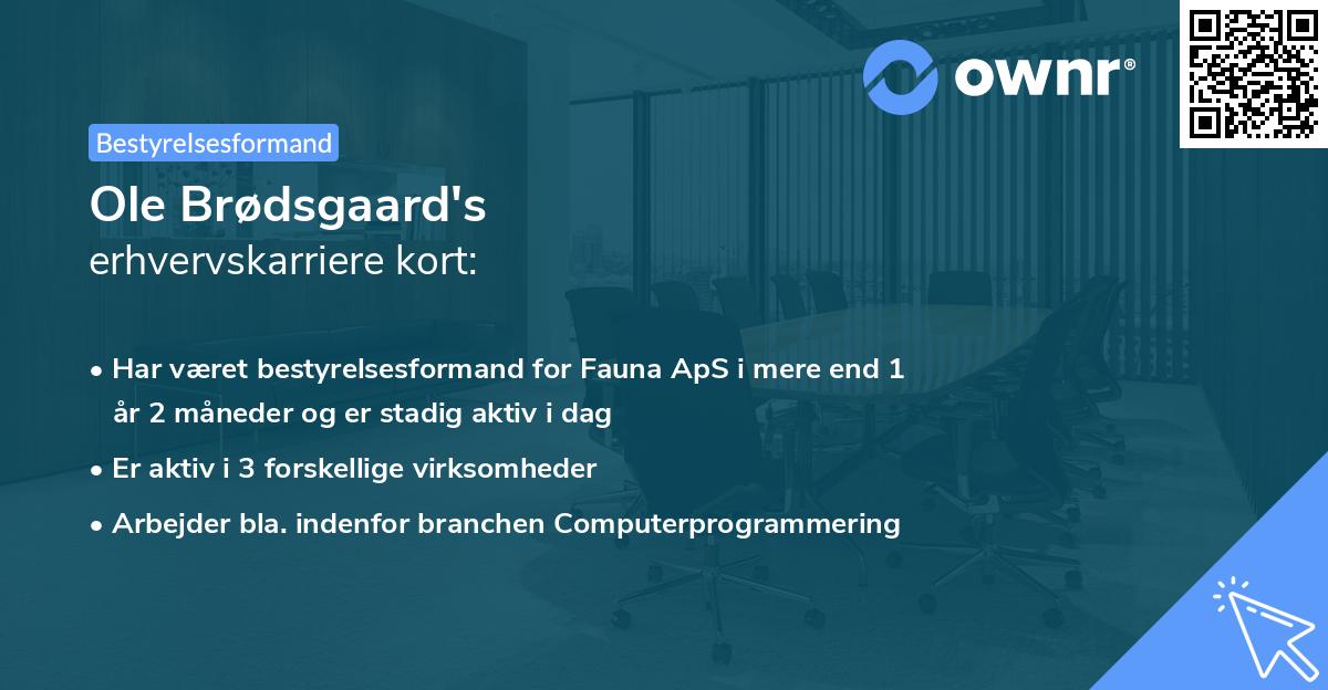 Ole Brødsgaard's erhvervskarriere kort