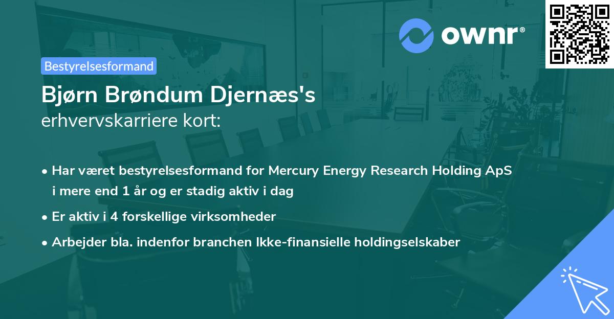 Bjørn Brøndum Djernæs's erhvervskarriere kort
