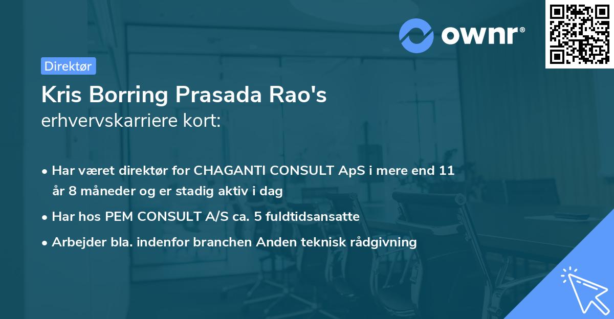 Kris Borring Prasada Rao's erhvervskarriere kort