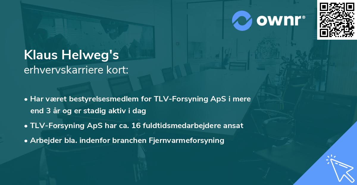 Klaus Helweg's erhvervskarriere kort