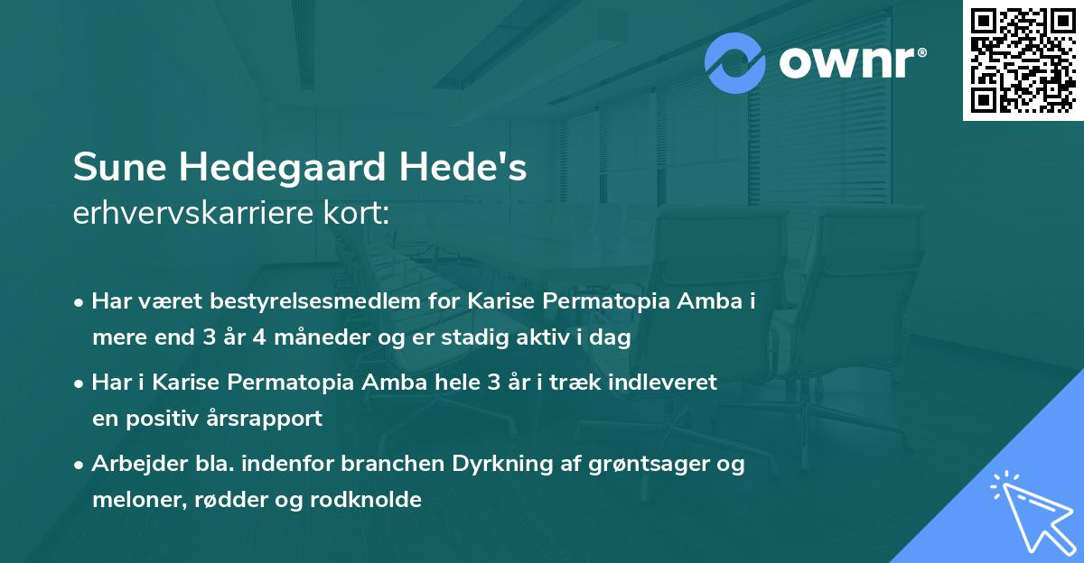 Sune Hedegaard Hede's erhvervskarriere kort