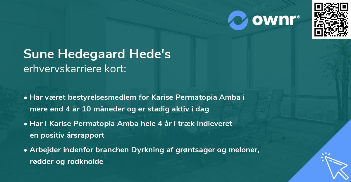 Sune Hedegaard Hede's erhvervskarriere kort