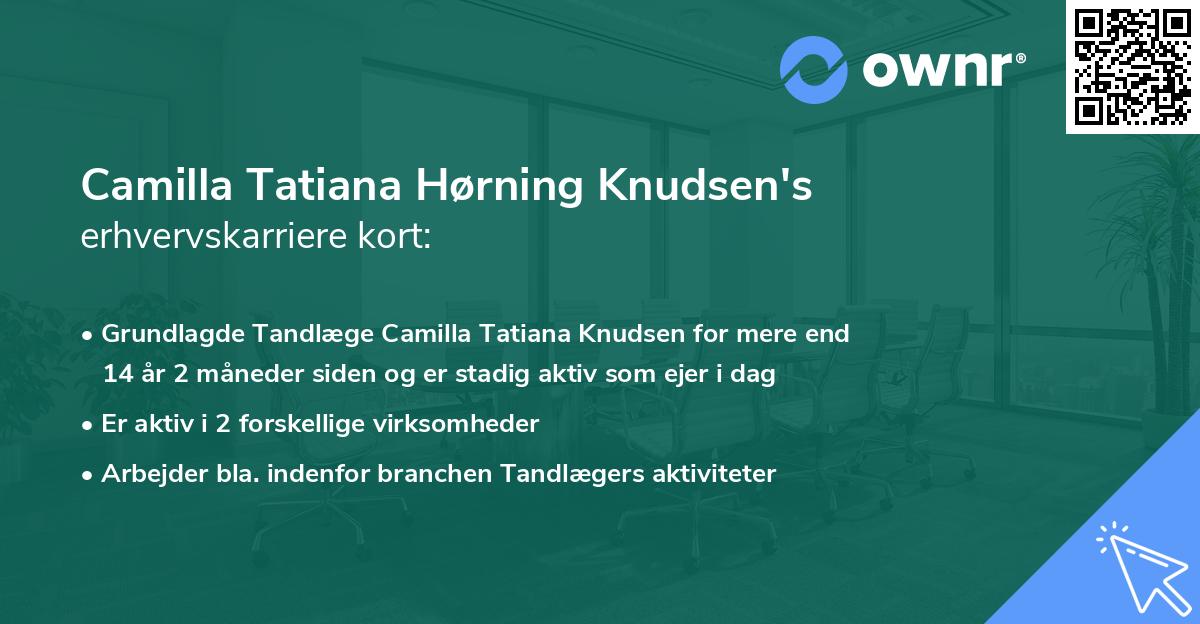 Camilla Tatiana Hørning Knudsen's erhvervskarriere kort