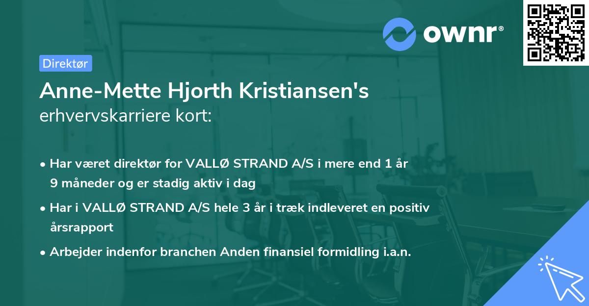 Anne-Mette Hjorth Kristiansen's erhvervskarriere kort