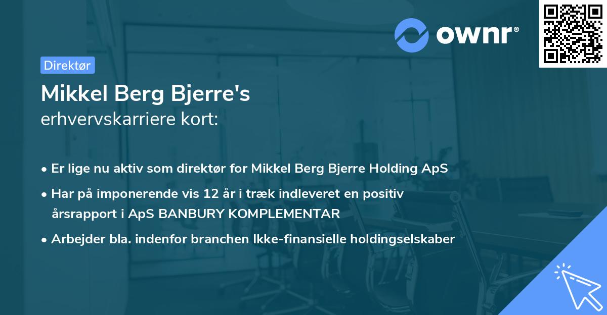 Mikkel Berg Bjerre's erhvervskarriere kort