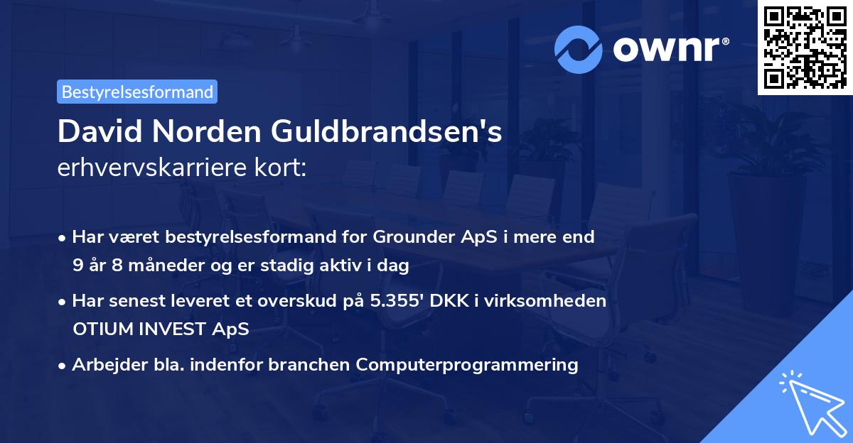 David Norden Guldbrandsen's erhvervskarriere kort