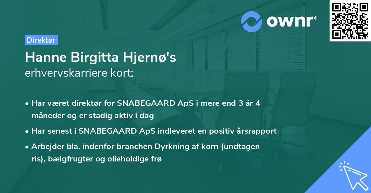 Hanne Birgitta Hjernø's erhvervskarriere kort