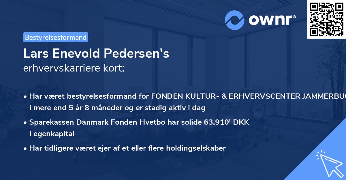 Lars Enevold Pedersen's erhvervskarriere kort