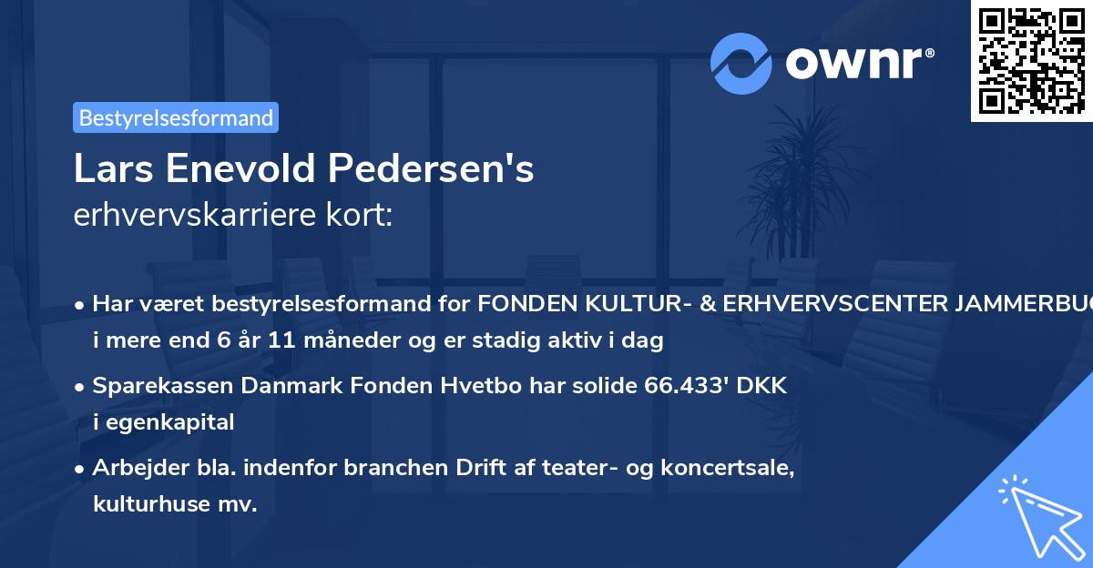 Lars Enevold Pedersen's erhvervskarriere kort