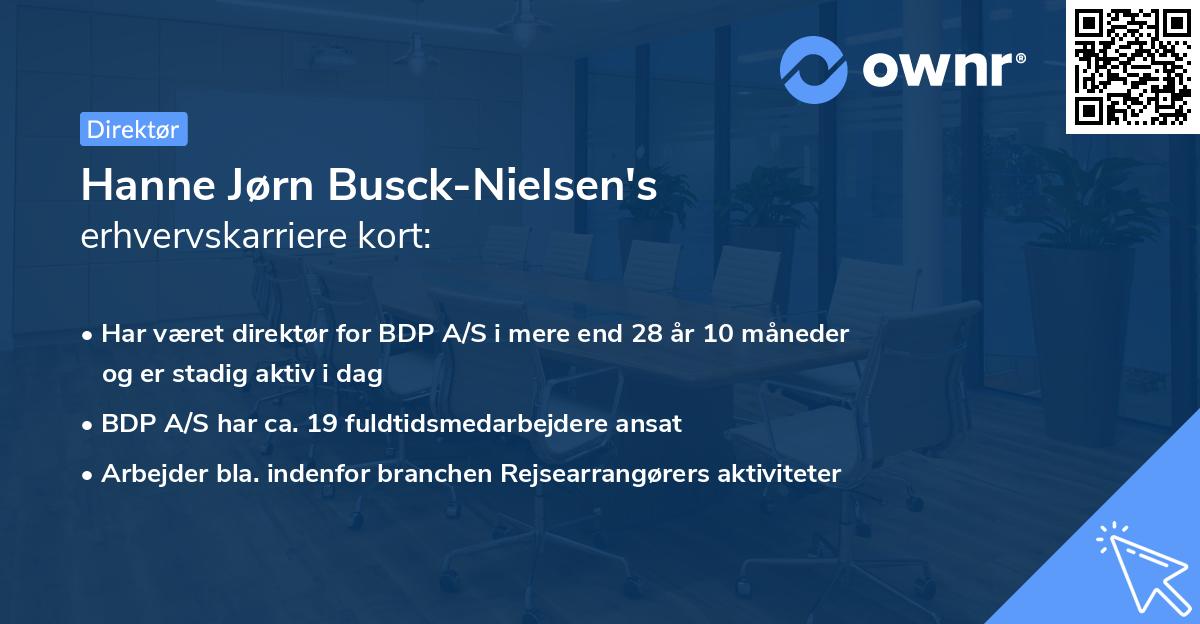 Hanne Jørn Busck-Nielsen's erhvervskarriere kort