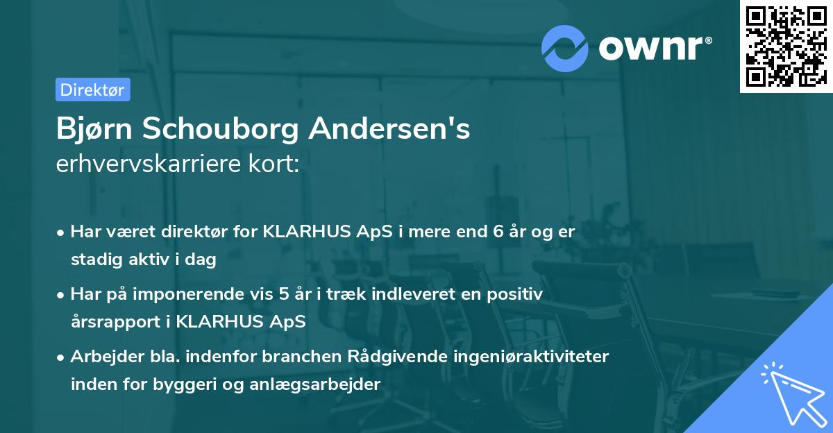 Bjørn Schouborg Andersen's erhvervskarriere kort