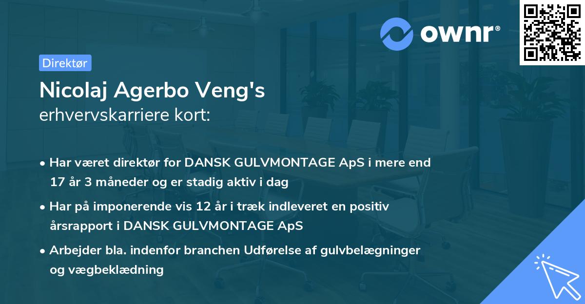 Nicolaj Agerbo Veng's erhvervskarriere kort